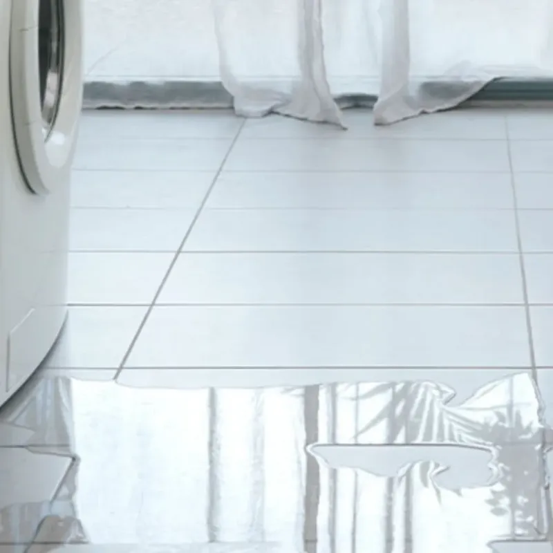 Appliance Leak Cleanup in Maysville, MO