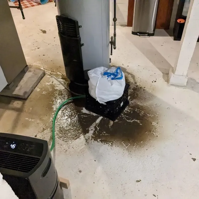 Sewage Backup Cleanup Service in Maysville, MO